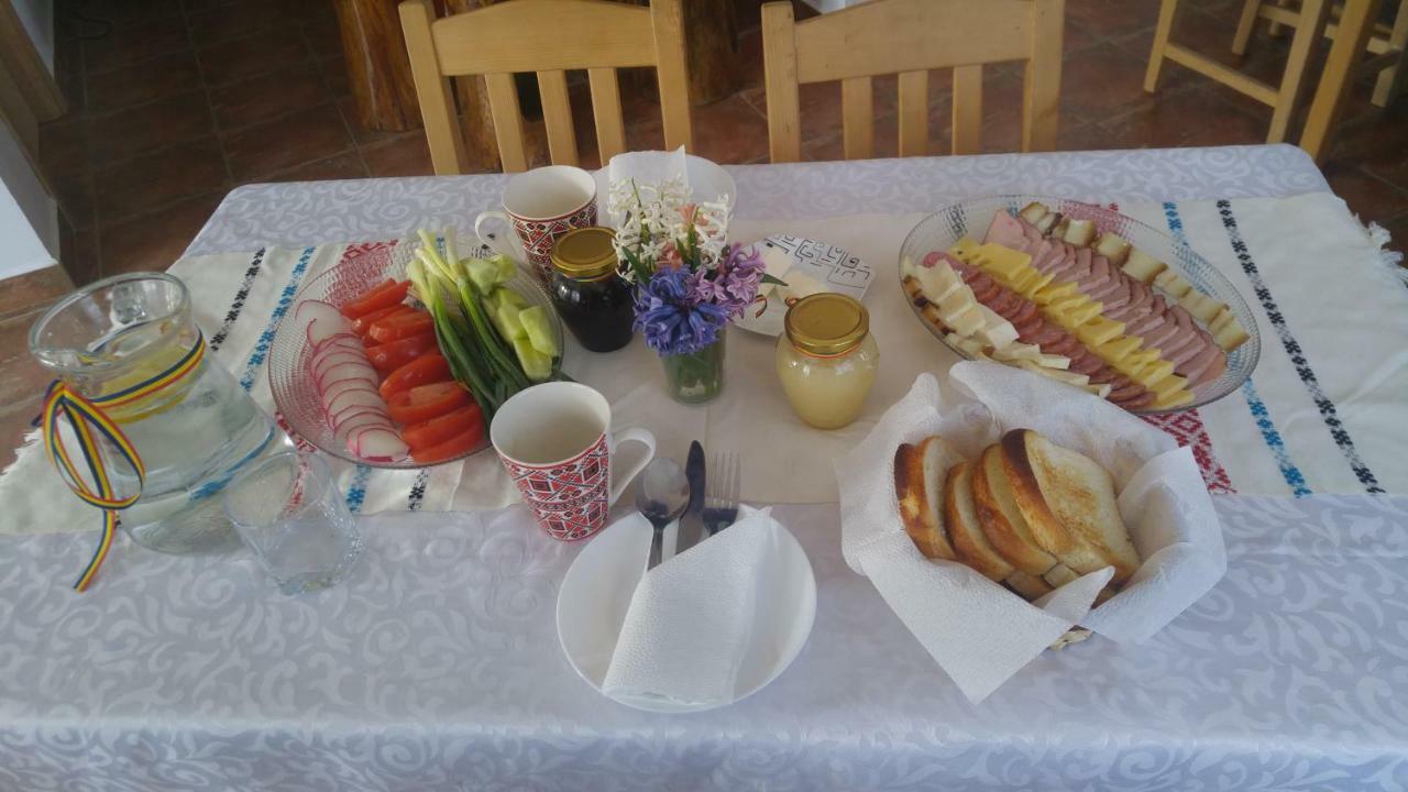 Hotel Pensiunea Casa Vanatorului Oteleni Zewnętrze zdjęcie