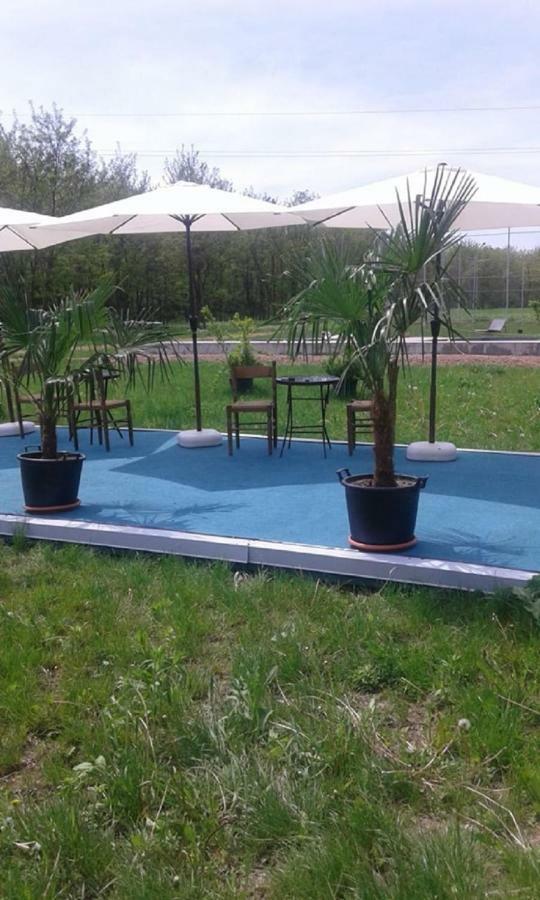 Hotel Pensiunea Casa Vanatorului Oteleni Zewnętrze zdjęcie