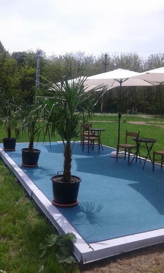 Hotel Pensiunea Casa Vanatorului Oteleni Zewnętrze zdjęcie